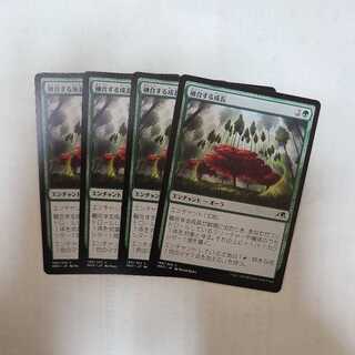 Growth Polymerizing Common