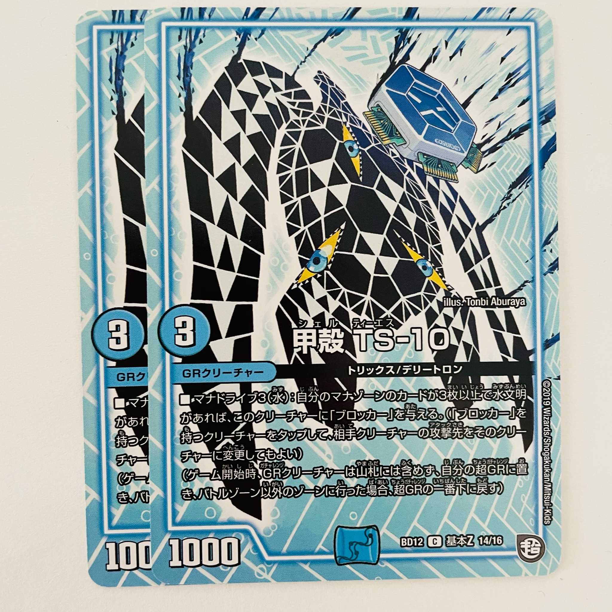 Carapace TS-20 2 sheets DM-BD-12-K14-16