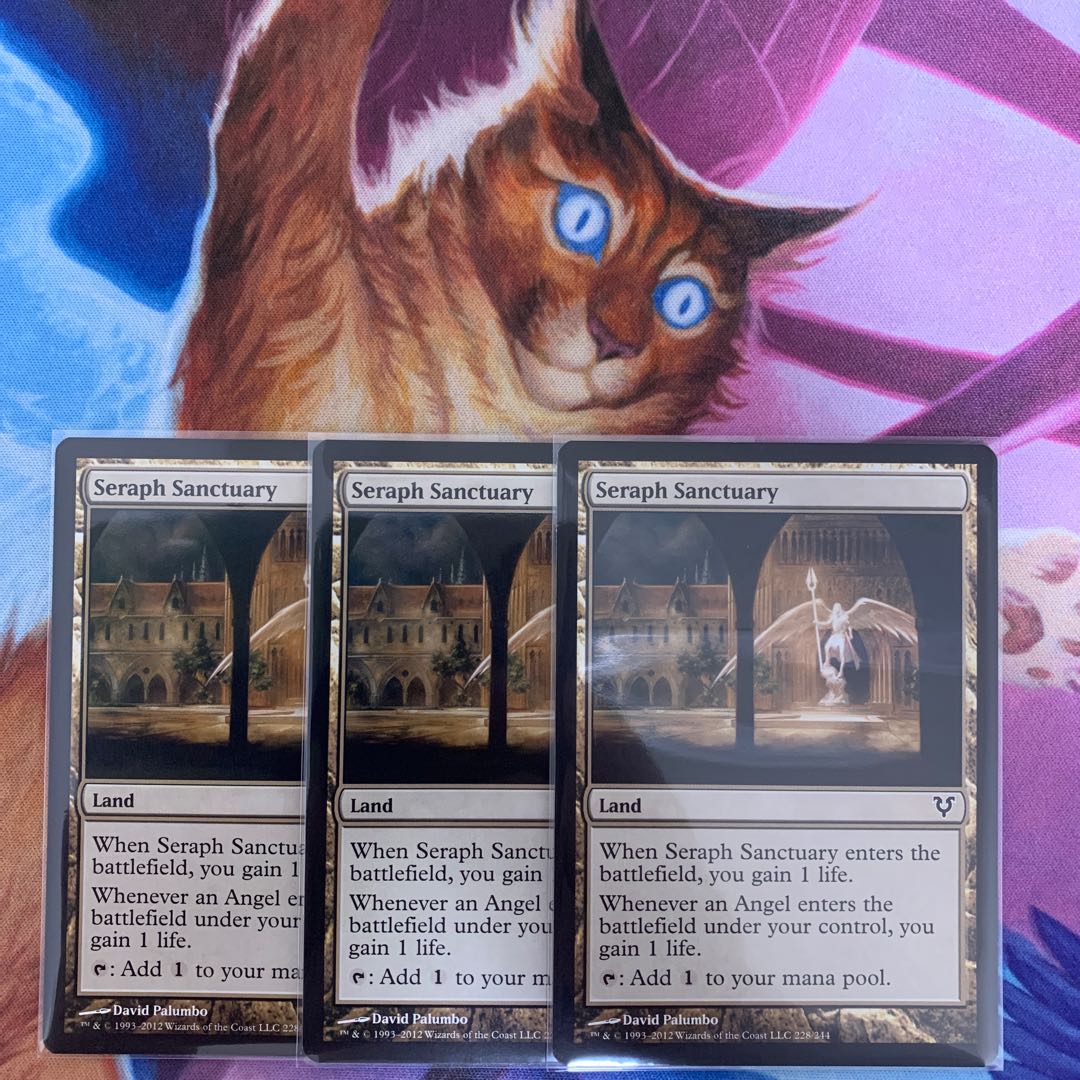 Seraph Sanctuary English 3 copies