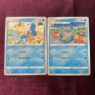 ミズゴロウ ヌマクロー セット