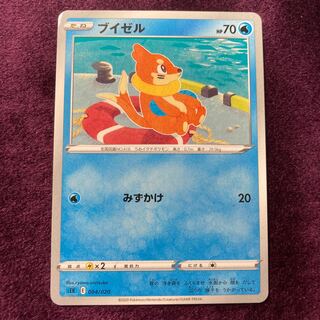 Buizel