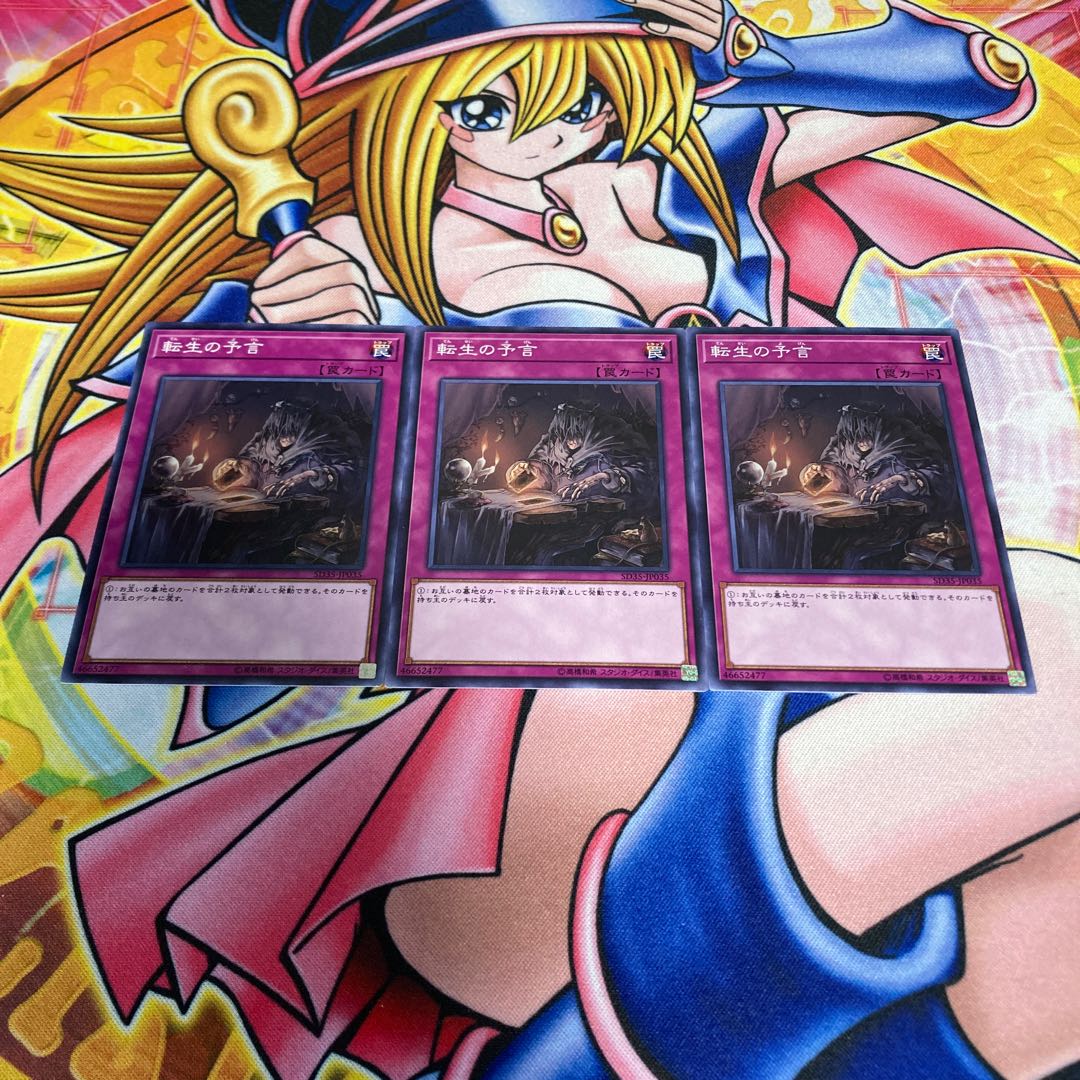 The Transmigration Prophecy