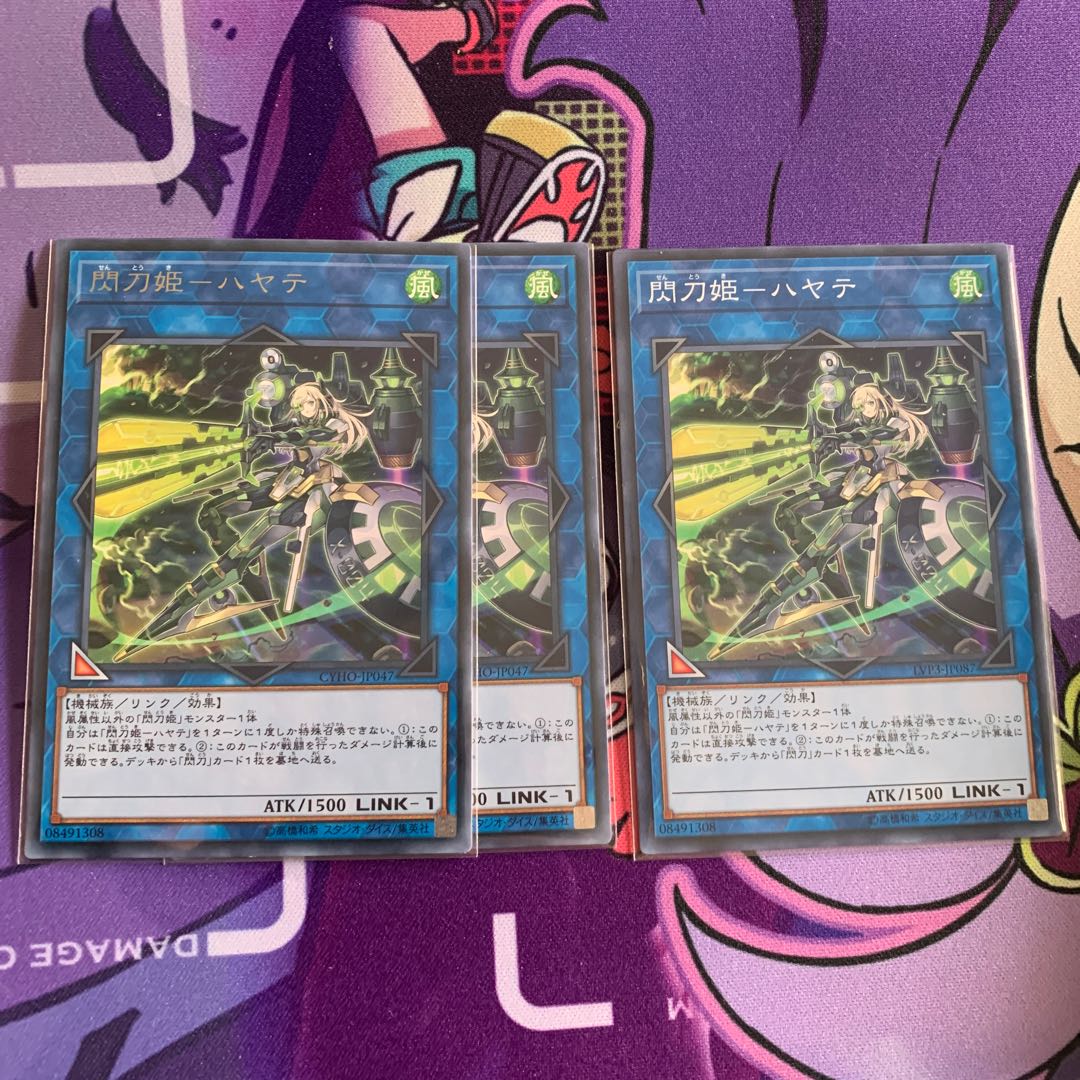 Senkohime-Hayate Rare Normal 1 piece