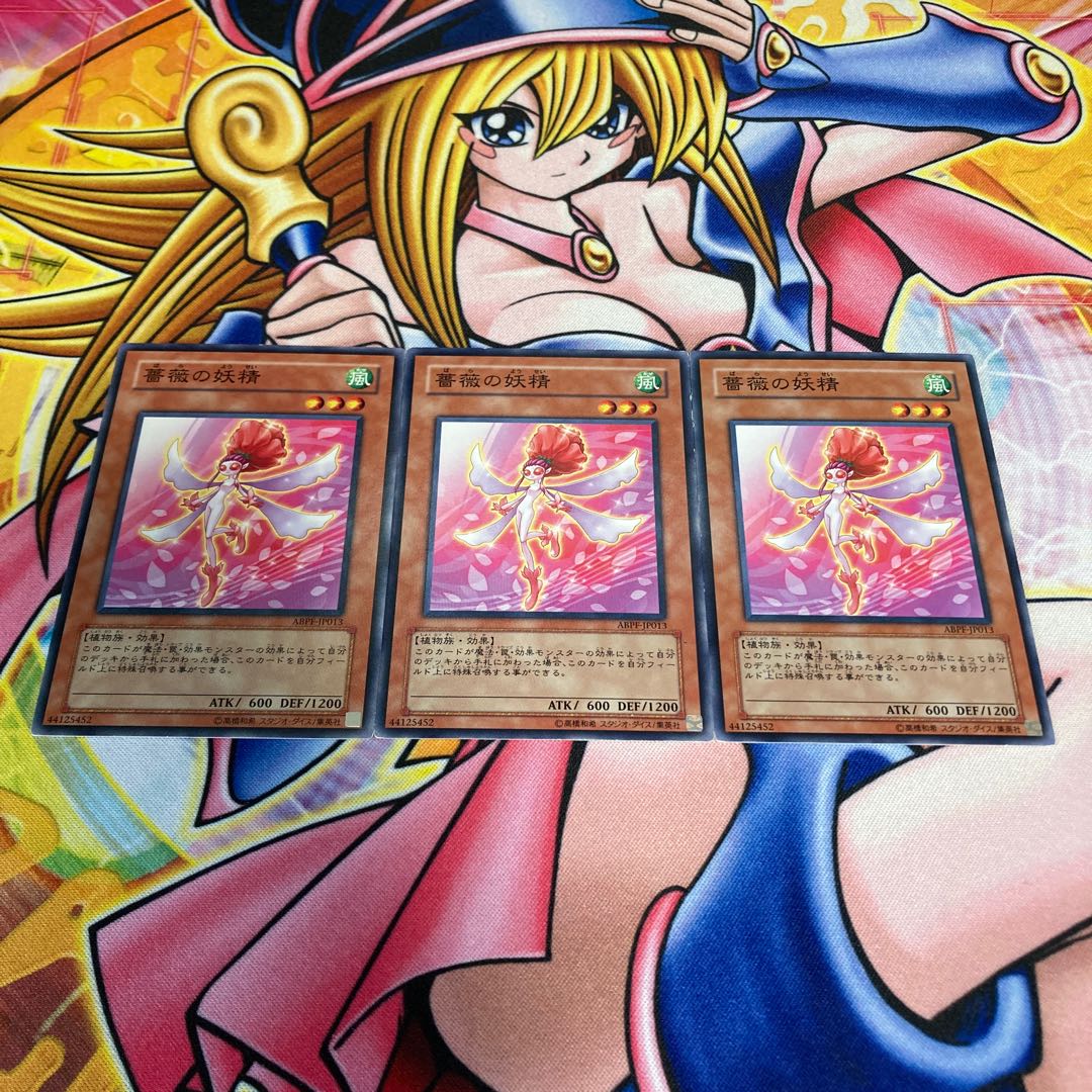 Rose Fairy with flaws