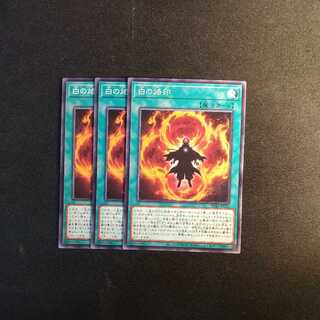 Branded in White Normal