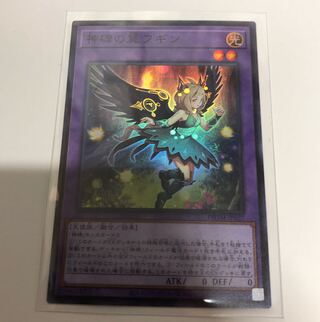 Wings of the Divine Monument Hugin