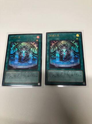 Set of 2 divine monumental fountains