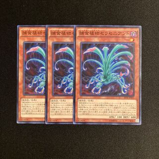 L8 Predaplant Sarraceniant Set of 3 Yu-Gi-Oh!