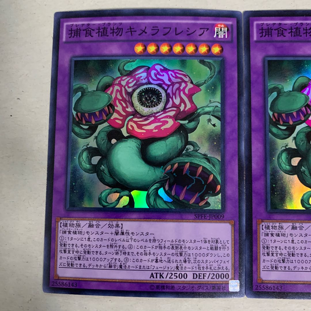 Predaplant Chimerafflesia Super Rare