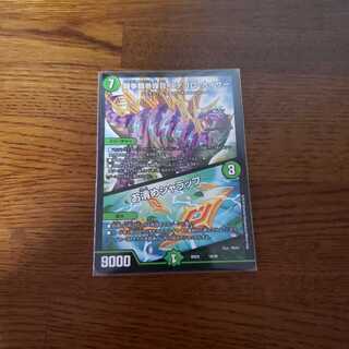 ステゴロカイザー