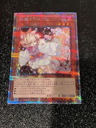 Exclusive for Jiro Ash Blossom & Joyous Spring Prismatic Secret Rare