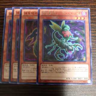 Predaplant Ophrys Scorpio Rare Daring Cobra Normal Set of 3