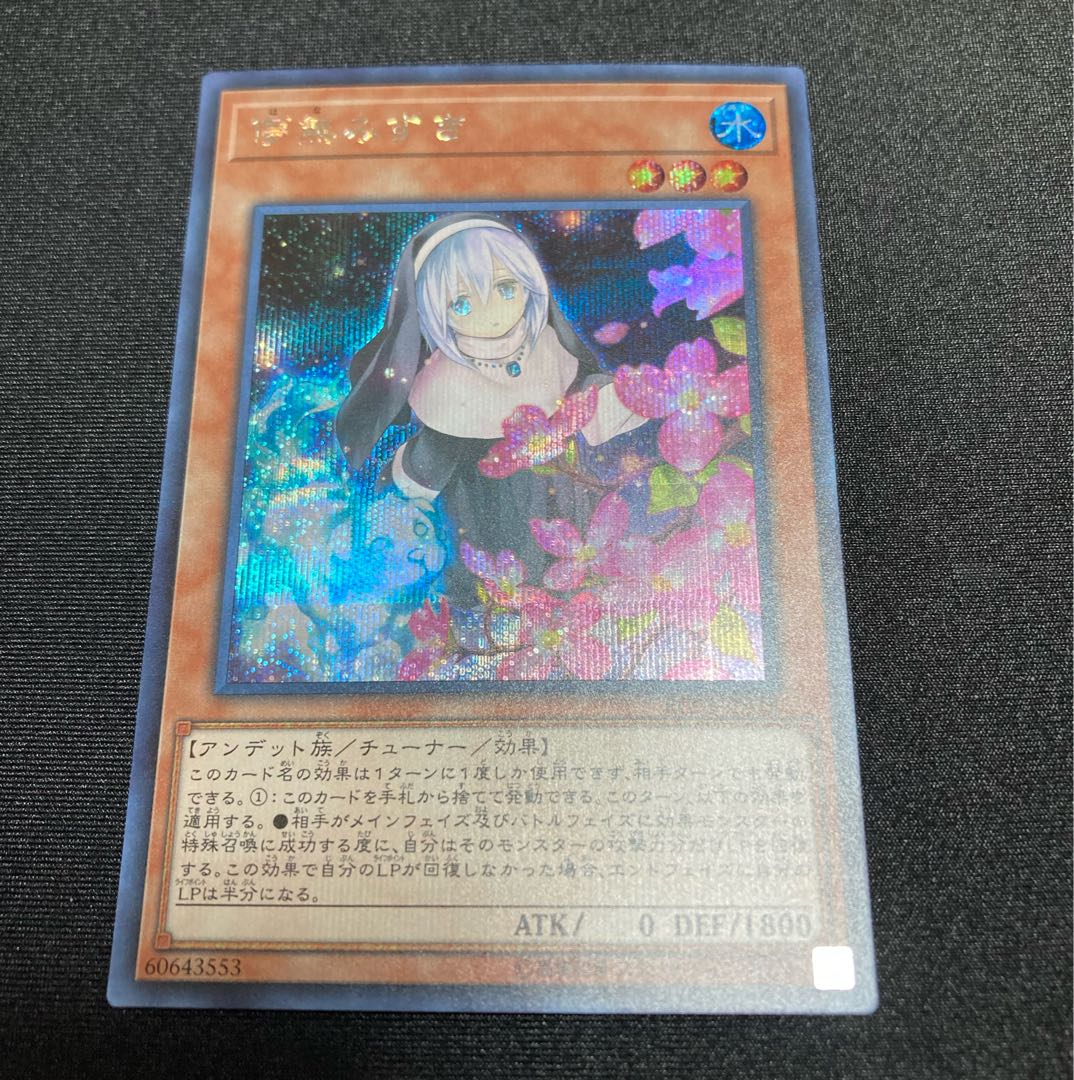 Ghost Sister & Spooky Dogwood (New) [Secret] (For Immediate Purchase)