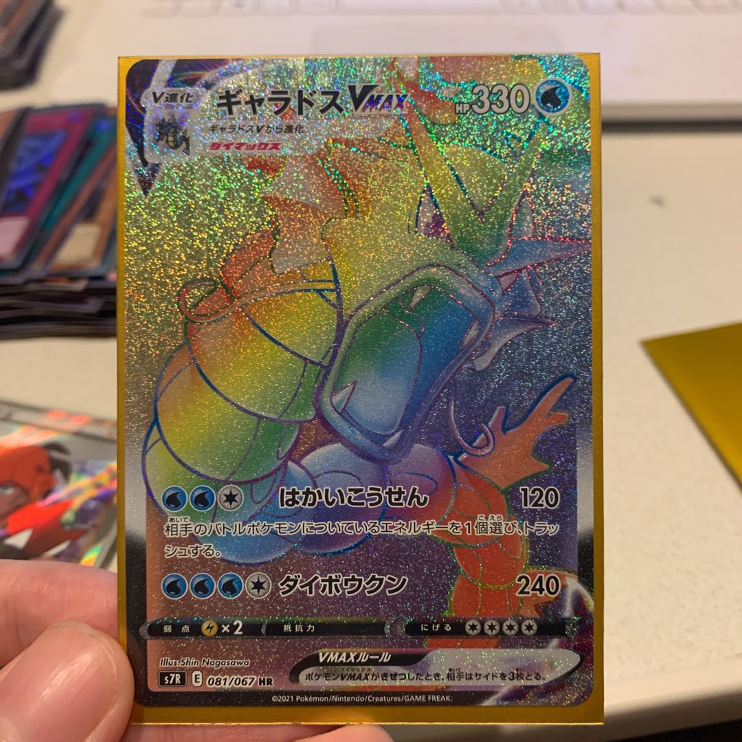 GyaradosVMAX HR 081/067 with extras