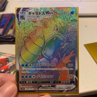 GyaradosVMAX HR 081/067 with extras