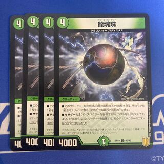 dragonfly nagi (species of nagi, Nageia nagi sometimes found in New Guinea)