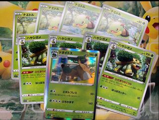 Torterra Evolution Line