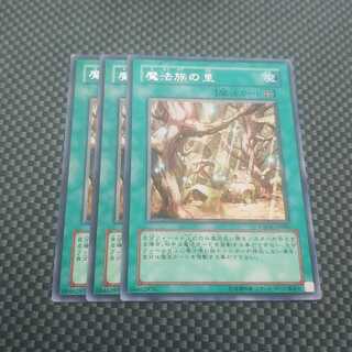 鮭イクラ商店 661 魔法族の里 レア3枚