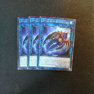 Paleozoic Cambroraster Normal