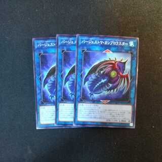 Paleozoic Cambroraster Normal