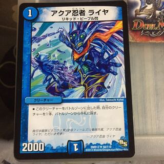 Exclusive Set Discount Aqua Ninja Raiya 1 piece Goromaru Communication 2 pieces