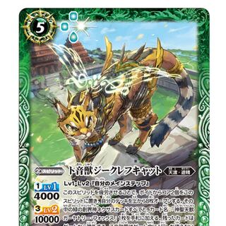 ジークレフキャット 1枚