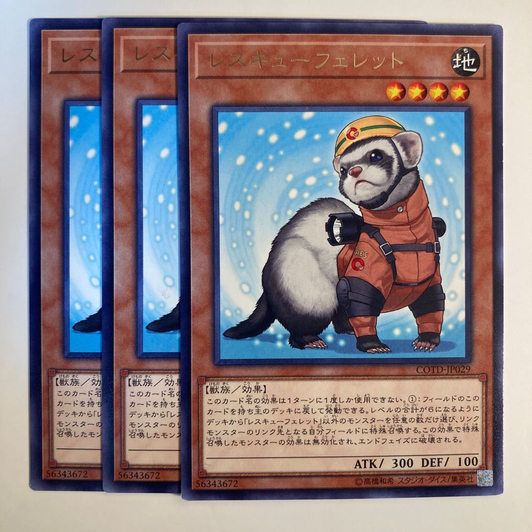 Rescue Ferret ☆6833