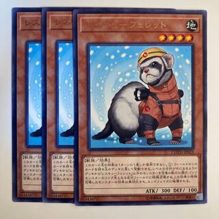 Rescue Ferret ☆6833