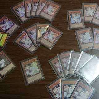 (Retired)Ash Blossom & Joyous Spring Card Card Pro Tekter Matt