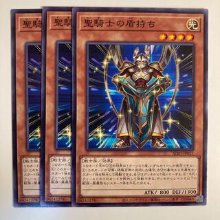 Noble Knight's Shield-Bearer ☆6855