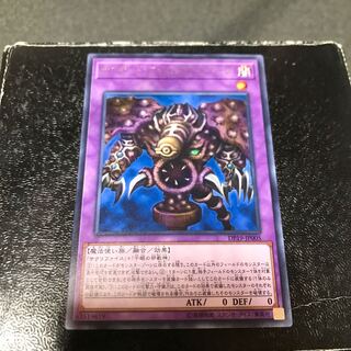 Thousand-Eyes Restrict Rare