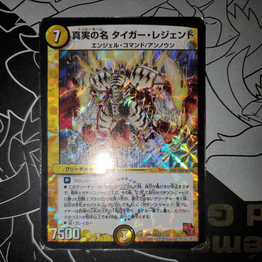 The True Name Tiger Legend