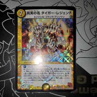 The True Name Tiger Legend