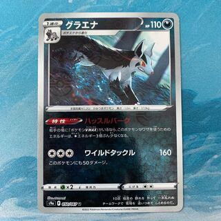 Pocketka Mightyena (mirror)