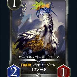 パープルゴールデンモア