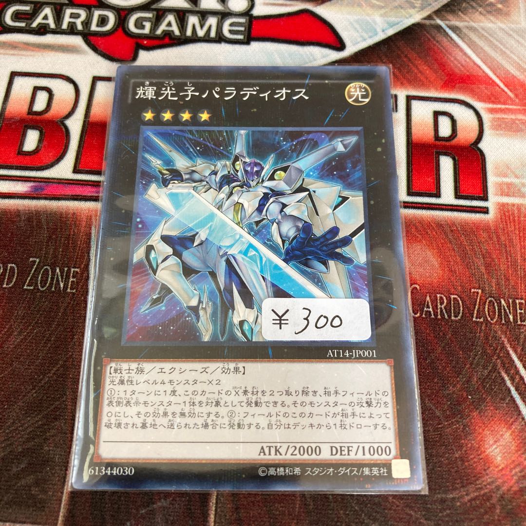 1 Starliege Paladynamo Normal Parallel