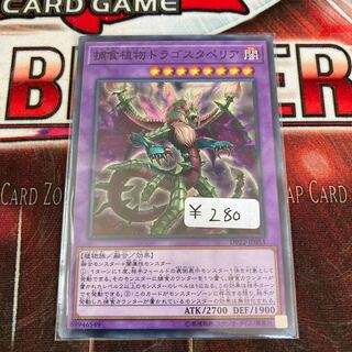 Predaplant Dragostapelia Normal 1 piece