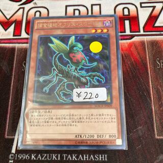 1-day discount!　Predaplant Ophrys Scorpio Rare 1 Sheet Special Price