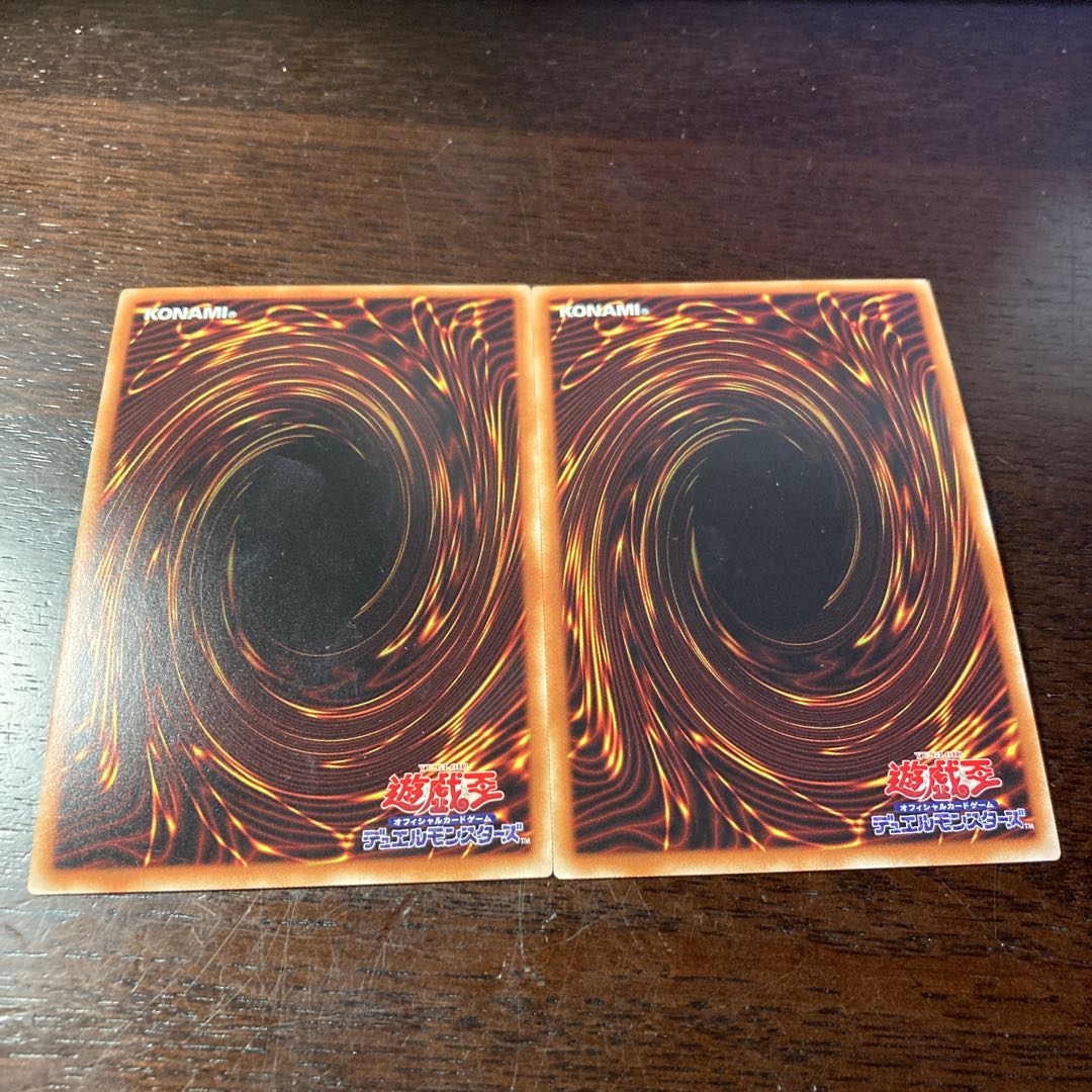 Yu-Gi-Oh Protector Whelp of the Destruction Swordsman