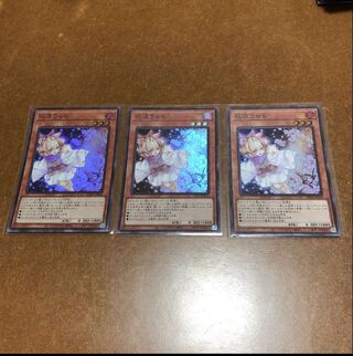 Ash Blossom & Joyous Spring Super Rare 3-card set