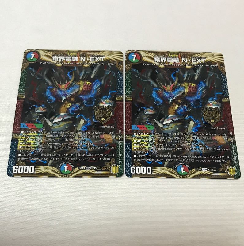 Ryukai Denryu N-EXT 2 pieces