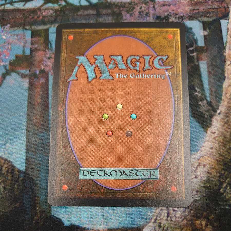 親身の教示者 日本語 1枚