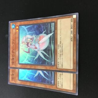 深海のディーヴァ　スーパー　2枚