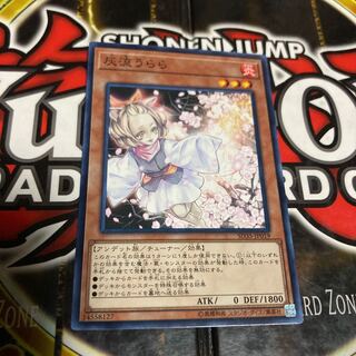 遊戯王 灰流うらら ノーマル