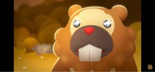 3 cassolipas exclusively for Mr. Bochibochi