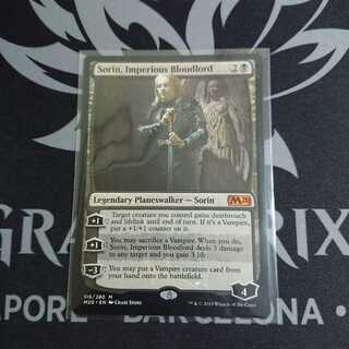 傲慢な血王、ソリン