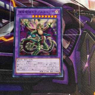 Predaplant Dragostapelia Normal