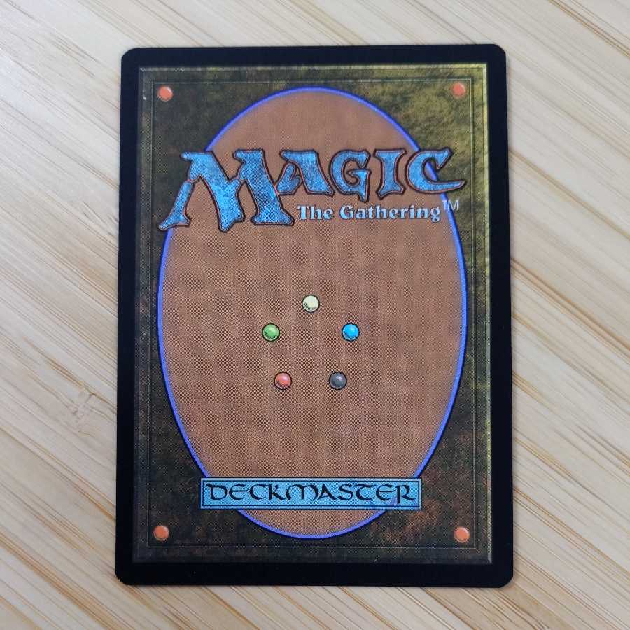 MTG Sword of Feast and Famine (Japanese) full art foil