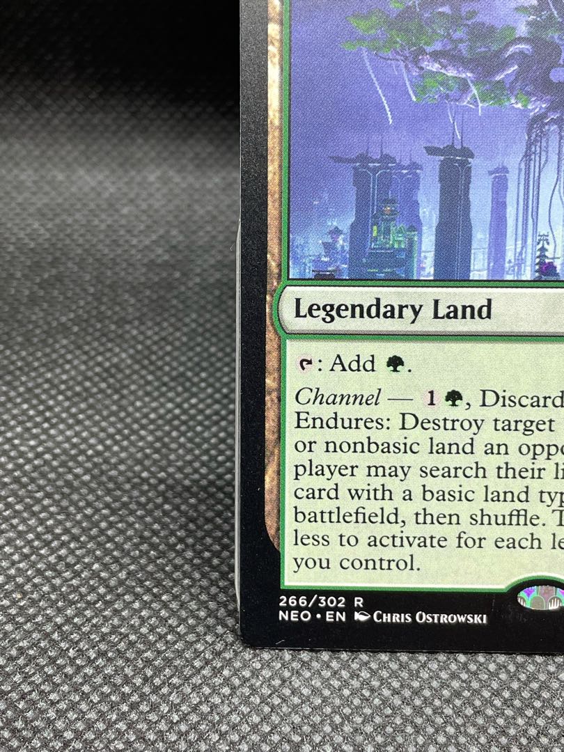 [EN]What endures, Mother Sacred Tree