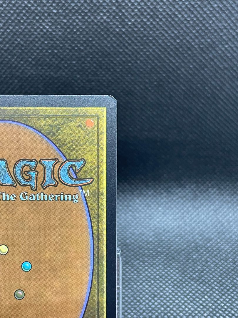 [EN]What endures, Mother Sacred Tree